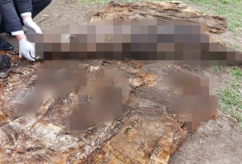 ÎNGROZITOR // Cadavrul unui bărbat din Edineț a fost găsit îngropat într-o anexă din curtea casei presupusului ucigaș